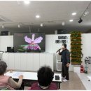 앵콜노래왕