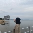 운동화목욕하는집 이미지