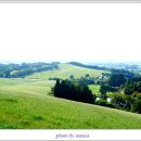 충남목장 이미지