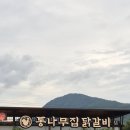 주식회사통나무집숯불닭갈비 | 춘천닭갈비맛집 찾는다면? 통나무집닭갈비 2호점 방문 후기