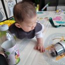 모모마트 이미지