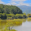 우포늪 광장 이미지