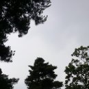 JUN21 이미지