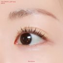 뷰티 퓨어(Beauty Pure) | 코링코 노글루 속눈썹 체리콕 9mm,10mm 내돈내산 후기 + 퓨어와 비교