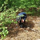 죽성농장 이미지