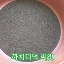 까치슈퍼 이미지