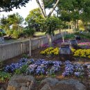 제주돌하르방캠핑장 이미지