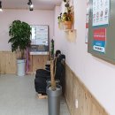 내촌세탁소 네이버블로그