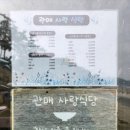 관매도해수욕장 | 남도의 바다와 관매도 여행 2026050103