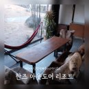 동강글램핑 | 후지산 글램핑 4인숙소 한즈 아웃도어 리조트