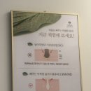 신선로L | [울산 야음동 l 올가드림뷰티] 한번 관리로도 효과보는 모공 청소 디톡스 후기