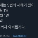 나우핏