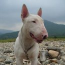 샘마을한양 이미지