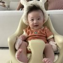 에비앙 | 내돈내산 에비앙 범보의자 솔직 후기｜언제부터? 장단점 총정리!