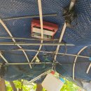 수자원농장 이미지