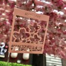 이레나스토어