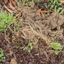 광전농장 이미지