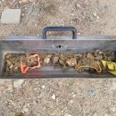 흥해서부초등학교 이미지