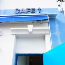 워시브로 이미지