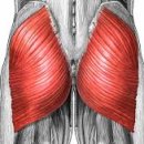 파워존스포츠 이미지