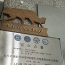 김선생 애견스쿨 | [수원/ 인계동] 수원애견호텔 수원애견유치원 데이케어 멍스스쿨 후기