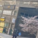 부산 북구 전자담배 베이프독 화명수정점 방문 후기