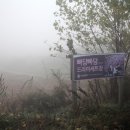 빠담목장 이미지