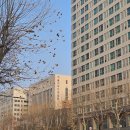 할리스성남모란역점 이미지