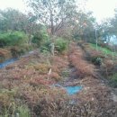 사곡리농장 이미지