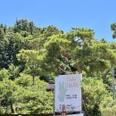 카페 또아 이미지