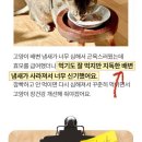 그레이스푸드랩