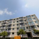 대동백화점 앞 이미지