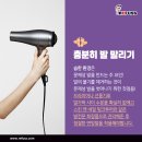 레푸스 춘천후평점