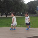 평창이야기 이미지