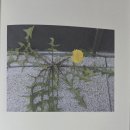 인정머리 - 북구 | 인정머리