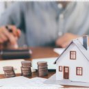 포레스트541 이미지