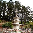 삼광사 소장 목조보살좌상 Daum카페