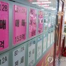 강남시장(6) 이미지