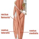 운동공간 정원 이미지