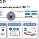아젤린의원 네이버블로그