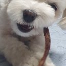 하이뭉하 네이버블로그