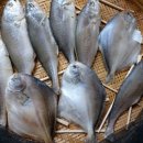 보원약국 이미지