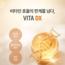 비타(vita)