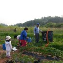 기수농장 이미지