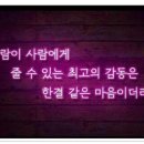 풍낙지 이미지