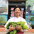 싱싱식품 이미지