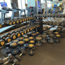 피트니스봄 이미지