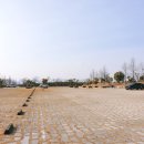 하단동1195 이미지