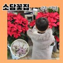 송학초등학교 | 광주 서구 꽃집 서창동 소담꽃집 꽃다발, 꽃배달 가능