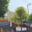 상남04 이미지